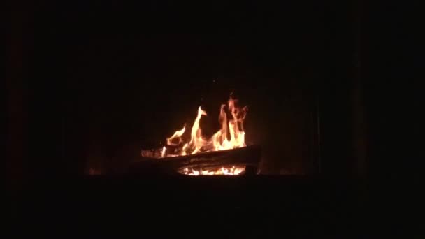 Hořící Krb Dřevěnými Polena Plameny Uvnitř Nový Rok Vánoce Zimní — Stock video