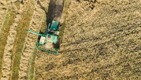 Yukarıdan tarla görüntüsünde çalışan biçerdöver makinesi, olgun buğday tarlalarını hasat eden biçerdöver makinesini birleştirir.
