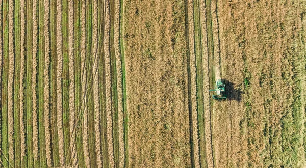 Raccoglitrice Che Lavora Vista Aerea Campo Dall Alto Combinare Mietitrice — Foto Stock