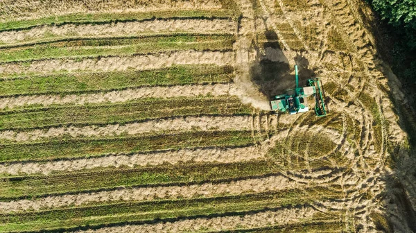 Harvester Machine Working Field Aerial View Combine Harvester Agriculture Machine — Stock Photo, Image
