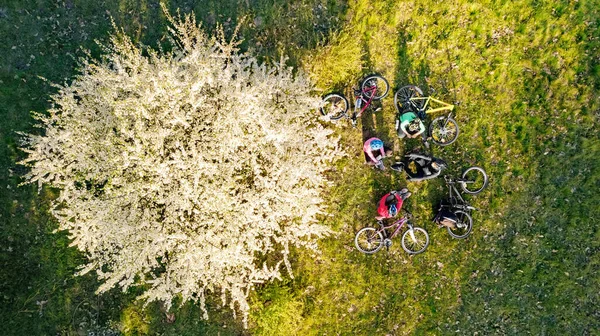 Familienradfahren Frühling Luftaufnahme Von Oben Glückliche Aktive Eltern Mit Kindern — Stockfoto