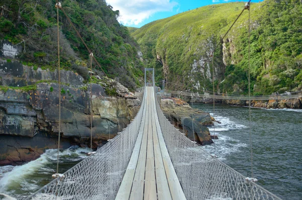 Puente en el parque nacional de Tsitsikamma — Foto de Stock