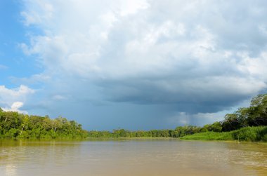Kinabatangan nehir, Malezya