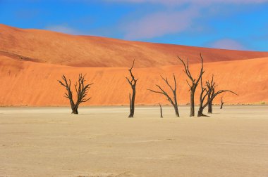 Ağaçlar ve peyzaj ölü Vlei çöl, Namibya
