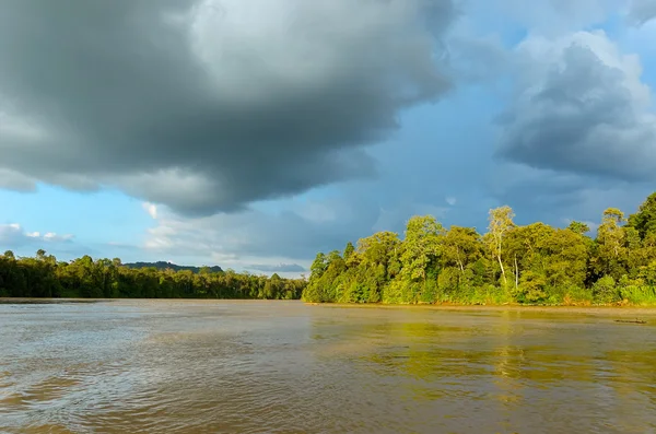 Kinabatangan rivier, Maleisië — Stockfoto