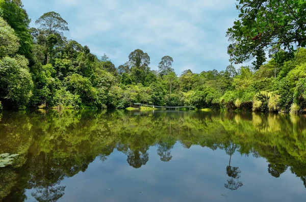 Prachtig meer met boom reflecties — Stockfoto