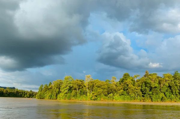 Kinabatangan nehir, Malezya — Stok fotoğraf