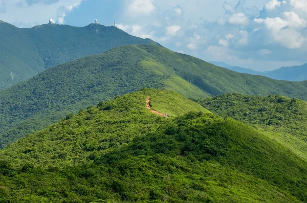 Hong Kong trail gyönyörű kilátást és a természet — Stock Fotó