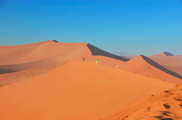 Duinen van Namib woestijn, Namibië — Stockfoto