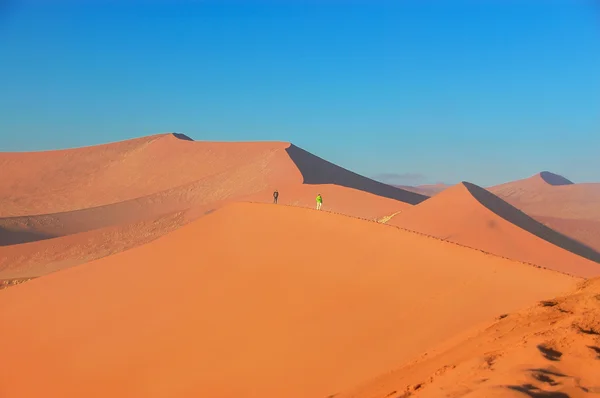 Dunas do deserto da Namíbia, Namíbia — Fotografia de Stock