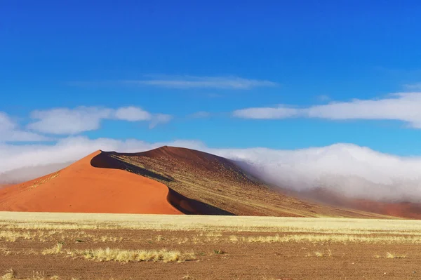 Duinen van Namib woestijn, Namibië — Stockfoto