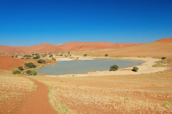 Lago en dunas del desierto de Namib, Namibia — Foto de Stock