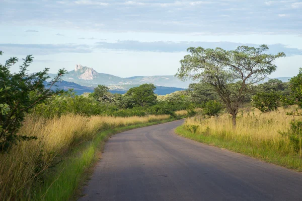 Strada africana in savana, Sud Africa, Kruger NP — Foto Stock