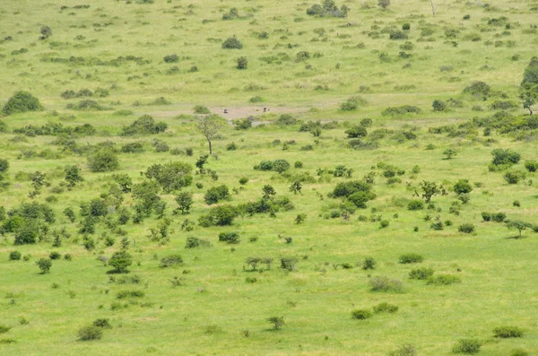Afrikanische Savannenlandschaft — Stockfoto