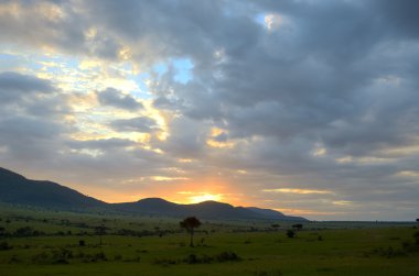 Afrika savana, Masai Mara ulusal park, Kenya, Afrika Sunrise