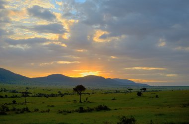 Afrika savana, Masai Mara ulusal park, Kenya, Afrika Sunrise