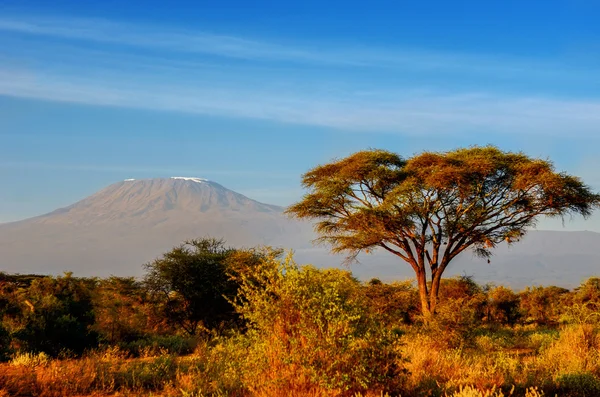 Sabah, Kenya, Amboseli Ulusal Park, Afrika gündoğumu sonra güzel Kilimanjaro Dağı