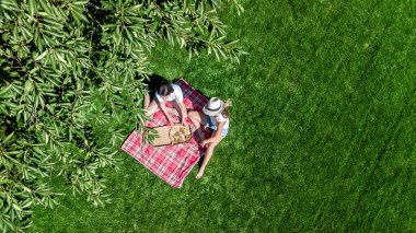Bayan arkadaşlar yaz pikniğinde parkta pizza yiyorlar, çimenlerin üzerinde dinleniyorlar ve yukarıdan hava aracı manzarası izliyorlar.