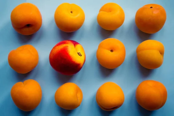 Ordinary Yellow Apricots One Different Bright Red Fruit Rest Strange — Stock Photo, Image