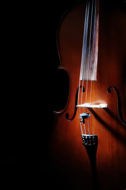 Cello closeup Orchestra instruments clipart