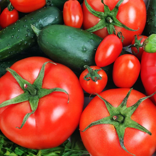 Vegetables tomato and cucumber — Stock Photo, Image