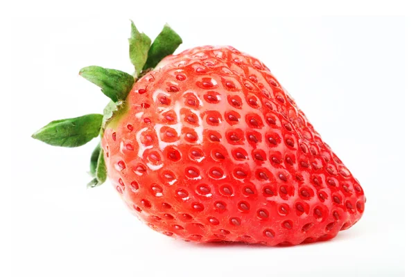Eine Erdbeere auf Weiß — Stockfoto