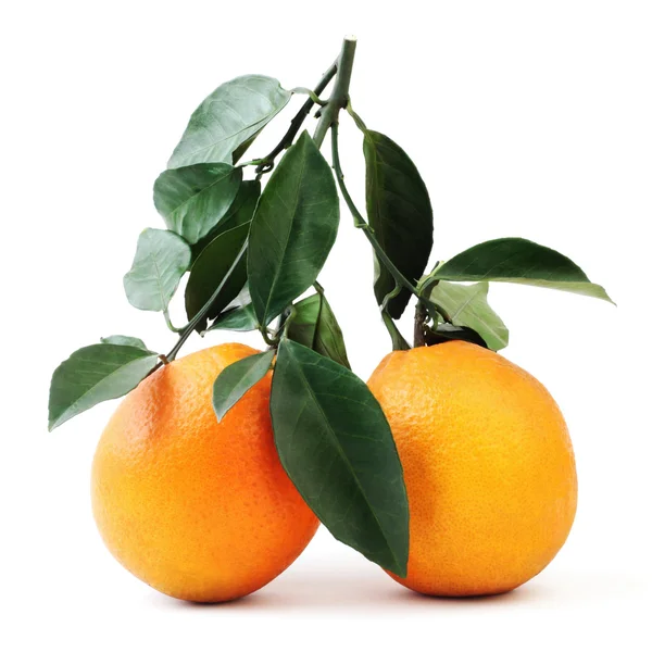 Πορτοκαλί με πράσινα φύλλα — Φωτογραφία Αρχείου