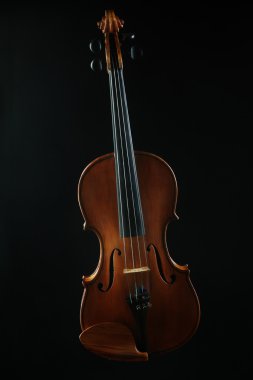Keman Orkestrası müzik aletleri