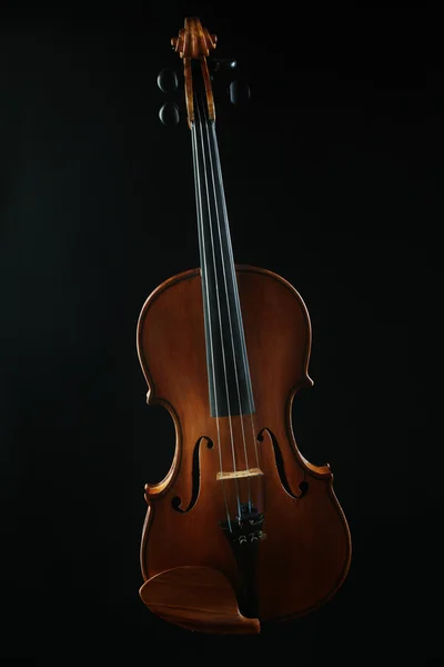 Violin orchestra musical instruments — Stock Photo, Image