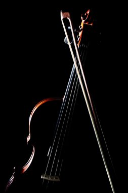 Keman Orkestrası müzik aletleri