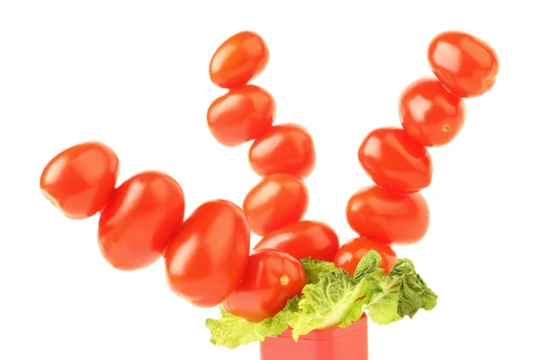 Tomatoes tree — Stock Photo, Image