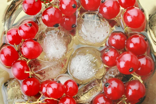 Cold fresh dessert red currant berry with an ice — Stock Photo, Image