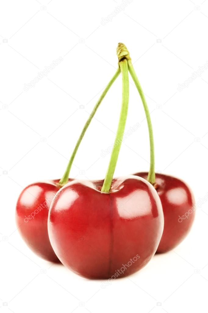 alenavlad