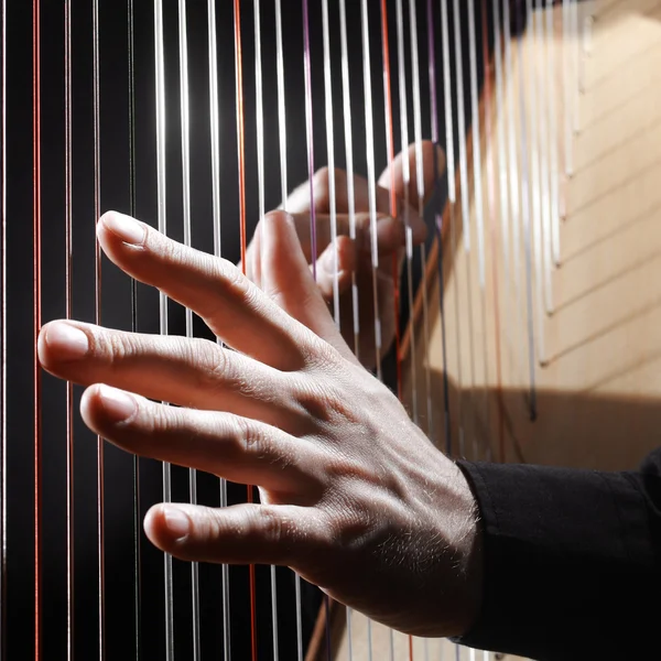 Harp strings closeup hands — Stock Photo, Image