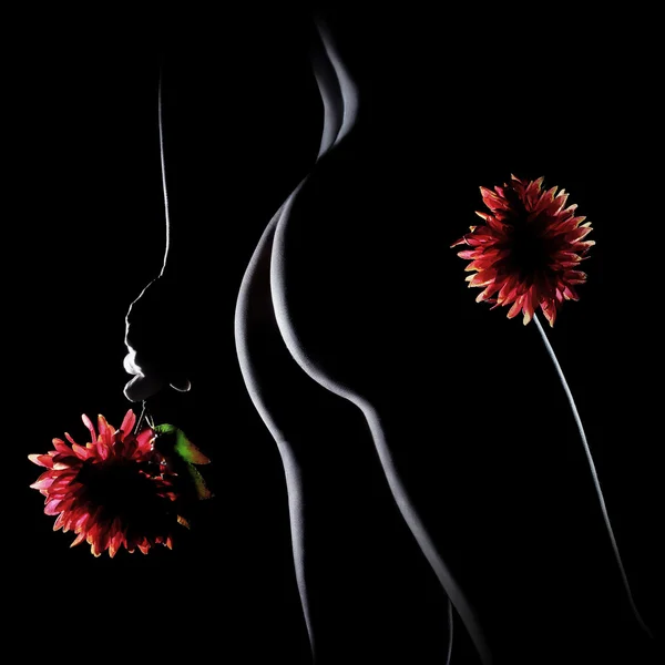 Nude woman erotic buttocks — Stock Photo, Image