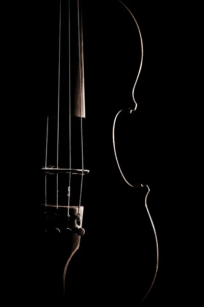 Violine Nahaufnahme Musikinstrumente — Stockfoto