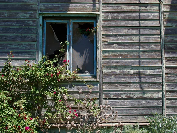 Velha casa de madeira abandonada resistida — Fotografia de Stock