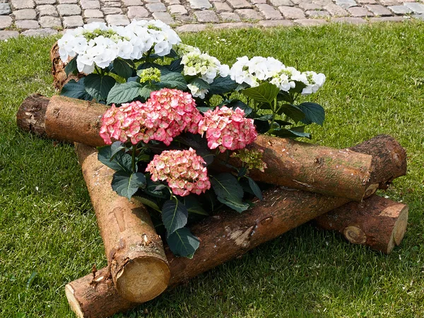 Straat met bloempotten — Stockfoto