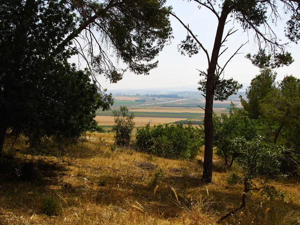 Vallei van Jizreël Israël — Stockfoto