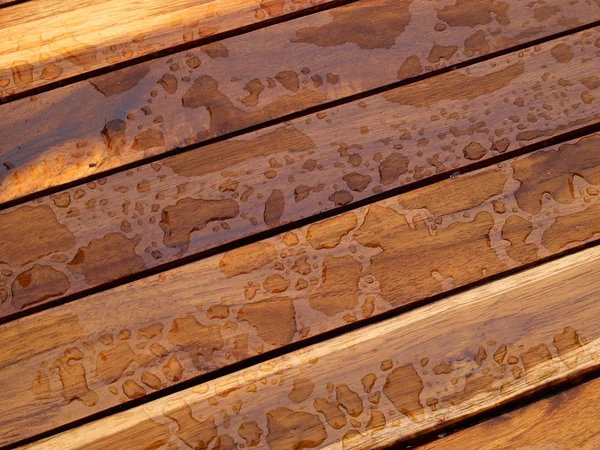Fond motif nature détail de belle texture en bois de teck — Photo
