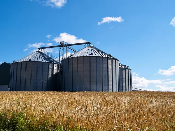 Boerderij graan silo — Stockfoto