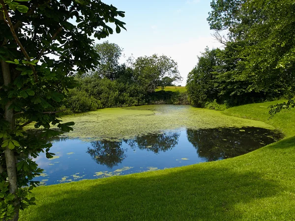 Día soleado en un lago de estanque tranquilo en verano —  Fotos de Stock