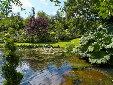 Güzel klasik tasarım Bahçe balık pond nilüfer ile