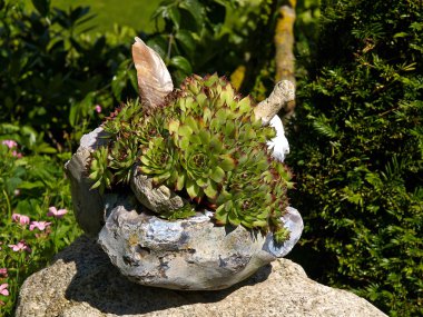 Taştan yapılmış bahçe dekorasyon