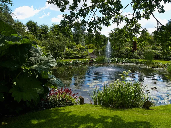 Декоративный пруд и фонтан с водой в саду — стоковое фото