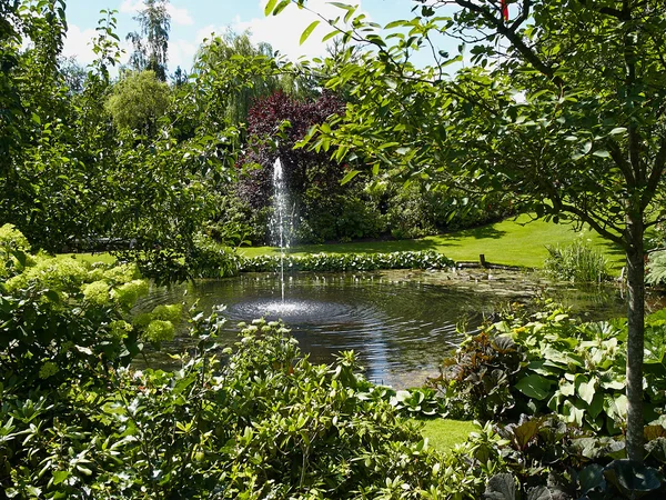 정원에서 관 상용 연못과 물 분수 — 스톡 사진