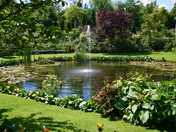 Декоративний ставок і водяний фонтан в саду — стокове фото