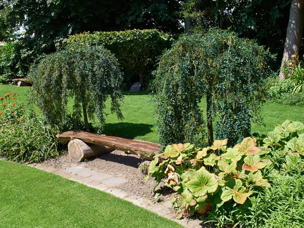 庭園の美しい木製ベンチ — ストック写真