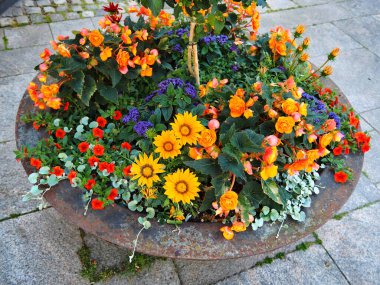 Klasik güzel sokak çiçeği çömlekleri Danimarka şehir dekorasyonu