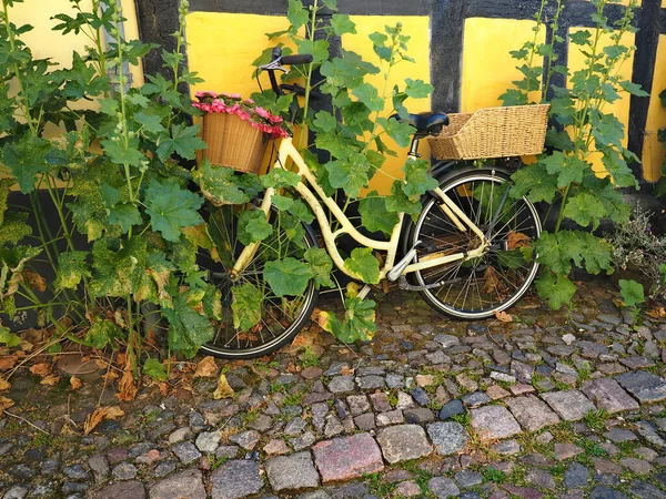 丹麦一家老房子前的老式经典黄色自行车 — 图库照片
